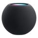 Смарт (Smart) колонка Apple HomePod mini - Space Gray (MY5G2) MY5G2 фото 1