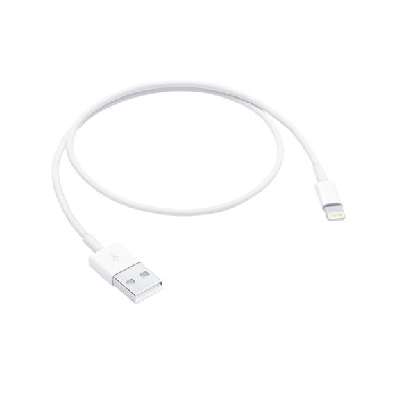 Адаптер перехідник Apple Lightning to USB Cable (0.5 m) (ME291) ME291 фото