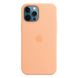 Оригинальный силиконовый чехол Apple iPhone 12 Pro Max Silicone Case с MagSafe - Cantaloupe (MK073) MK073 фото 2