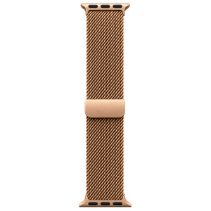 Milanese Loop