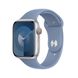 Оригинальный ремешок Apple Watch Sport Band 41/40/38 mm Winter Blue - S/M (MT353) MT353 фото 2