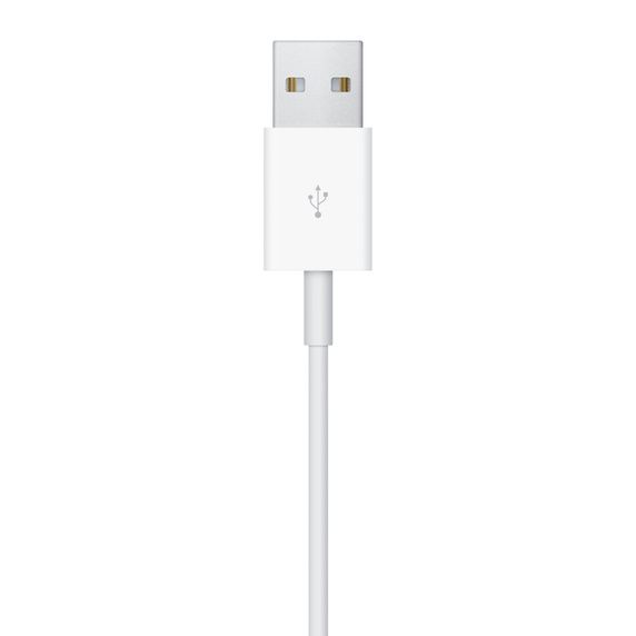 Кабель зарядки Apple Watch Magnetic Charging Cable (1 m) (MX2E2) MX2E2 фото