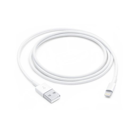 Оригинальный кабель зарядки Apple Lightning to USB Cable (1 m) (MXLY2) MXLY2 фото