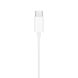 Проводные наушники Apple EarPods USB-C (MTJY3) MTJY3 фото 5