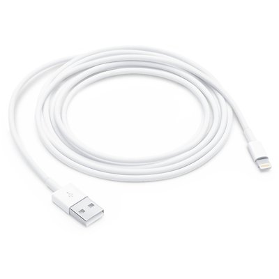 Оригинальный кабель зарядки Apple Lightning to USB Cable (2 m) (MD819NB) без коробки MD819NB фото